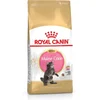 ROYAL ROYAL CANIN Maine Coon Kitten - Suha hrana za mačke - 4 kg