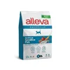 Alleva Equilibrium Sensitive RIBA