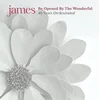 James - Be Opened By The Wonderful (180 g) (2 LP)