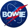 David Bowie NASA Magnet