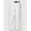 Oakley Channel Cargo Pants mist