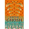 Untitled Amitav Ghosh