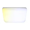 MASTER Lampa LED nadgradna sa daljinskim 42W 49x49cm