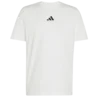 Handball Category Logo Graphic