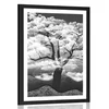 Plakat s paspartujem črnobelo drevo obdano z oblaki - 20x30 black