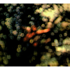 Pink Floyd - Obscured By Clouds (CD)