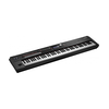 Digitalni stage pianino premium črn RD-2000 Roland