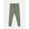 Sinsay - Pantalone - pepaljasto zelena