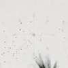 Linalab - Desire Paths (LP)