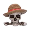 One Piece - Luffy Jolly Roger Box