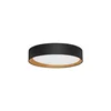 STAKE PLAFONSKA SVJETILJKA LED 30W/3000K/1717lm/DIMM/IP20/CRNA