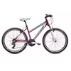CAPRIOLO MTB MONITOR FSL 26/21AL bo-ti