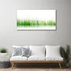 tulup.si Slika na steklu Narava grass flowers 100x50 cm 4 obešalnika