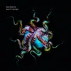 Ben Chatwin - Heat & Entropy (LP)