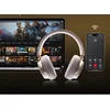 Jinyun Bluetooth slušalice, Sive