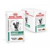 Royal Canin Diabetic Cat Wet - 1.02 kg