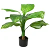 Mondex Umetna rastlina v loncu plastika Mondex Viridis 80 cm (lonček 15x13 cm) zelena 1 kos, (5000208542)