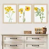 Wallity Uramljena slika 3NTC_22613791_5575, 55x75 cm, 3 dela