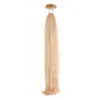 SEISETA Prirodna kosa za nado gadnju, Keratin, 50/55cm, 24 Ash Blonde, 10 pramenova