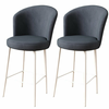 HANAH HOME Set 2 barske stolice Alte Anthracite White