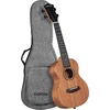 CASCHA Concert Ukulele Mahogany Solid incl.bag CUCMS1