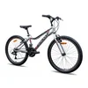 Galaxy Festina 24 sivo crno crven