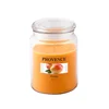 Mirisna sveća MANGO 510 g 85-95 sati.