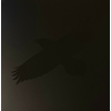 Sigur Rós - Odins Raven Magic (2 LP)