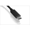 ICY BOX Icybox USB 3.0 mrežna kartica/adapter iz USB-C na Gigabit Ethernet, (20278765)