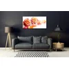 tulup.si Slika na steklu Roses flowers rastlin 120x60 cm 2 obešalnika