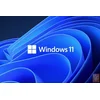 Microsoft Windows 11 Pro 64bit, English, GGK za legalizaciju racunara (4YR-00316)