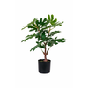 Umetno drevo v cvetličnem loncu House Nordic Fig tree