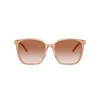 Tiffany Naočare za sunce TF 4244D 826813