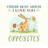 Guess How Much I Love You