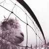 Pearl Jam Vs. (Remastered) (Vinyl LP)