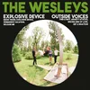 The Wesleys - Explosive Devices/Outside Voices (LP)