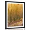 Plakat s paspartujem steza v gozd - 30x45 no frame