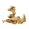 AQUA DELLA COFFEE ROOT 2