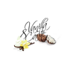 Dišava za omaro Vanilla & Carite