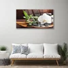 tulup.si Slika na akrilnem steklu Bambus zen bela orhideja 120x60 cm 4 obešalnika