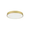 Immax NEO 07293L - LED+CCT prigušiva plafonsko svetlo SEMPLICI 60W/230V prečnik 60 cm + daljinski upravljač