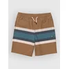 Salty Crew Crew Stripe Volley Kids kopalne hlače bronze brown