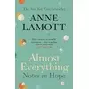 Almost Everything