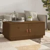 Stolić za kavu boja meda 80x50x35 cm od masivne borovine
