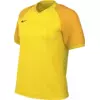 Nike Dres Dri-FIT Trophy VI Women