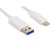 Sandberg Type-C 3.1 vhod/ USB3.0 izhod