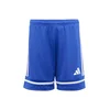 adidas Squadra 25 pisana