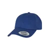 Low Profile Cotton Twill Blue Cap