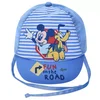 Stamion kačket Mickey,dečaci