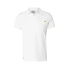 CAMP DAVID Majica Dune Crusher temno siva/volneno bela
